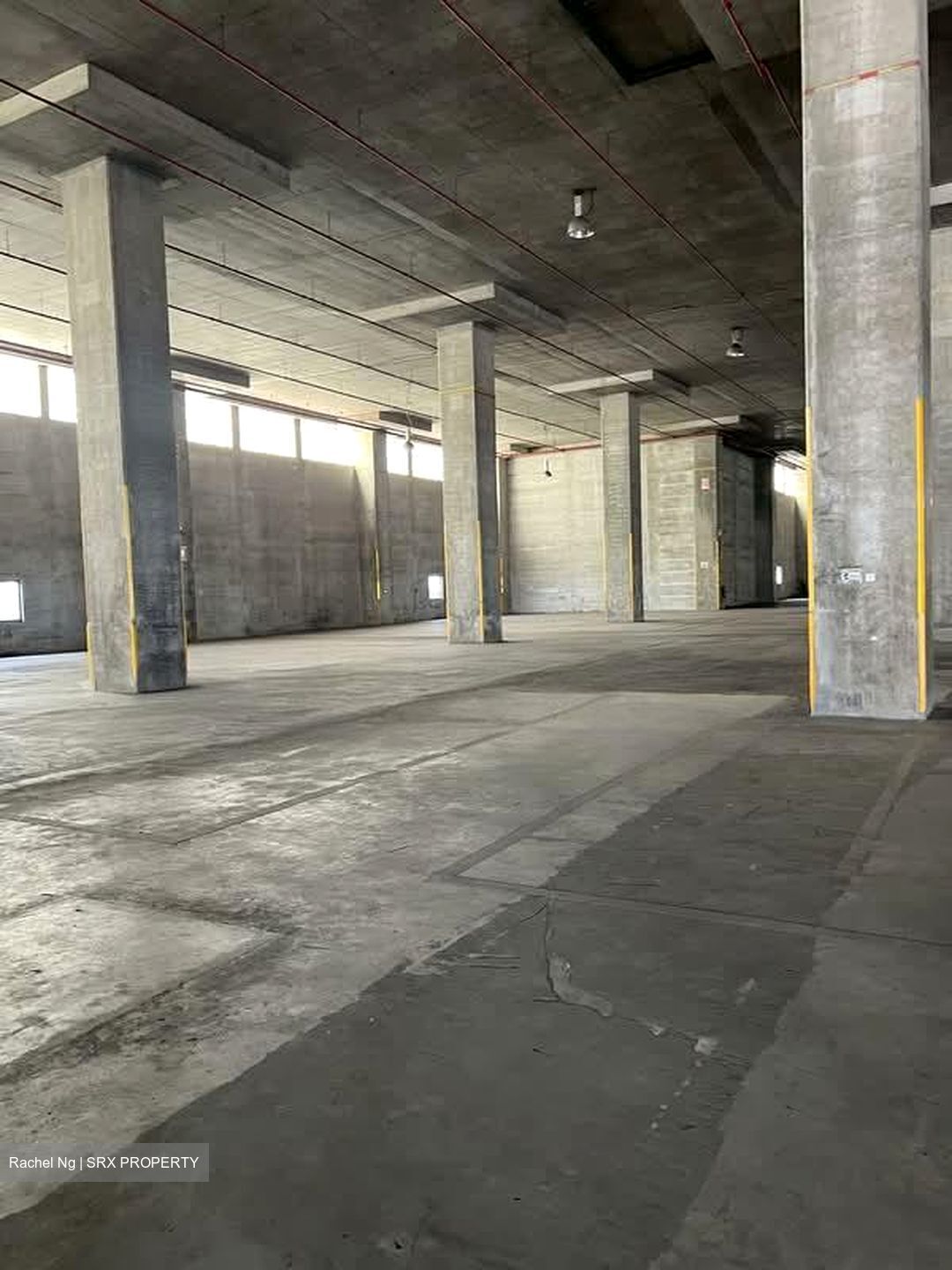 Powergrid Pioneer Terminal (D22), Warehouse #573478051